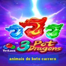 animais do beto carrero